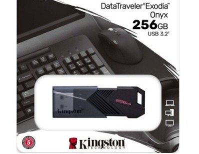 Kingston DTXON/256GB Flash Drive 3.2
